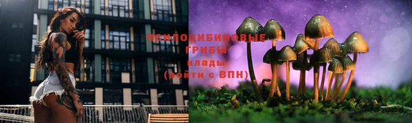 первитин Беломорск