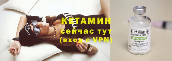 прущие грибы Богородск